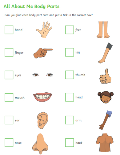 sample all about me body parts template