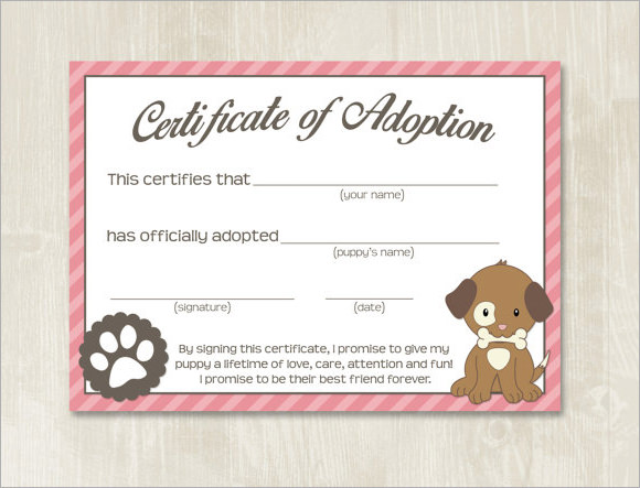 dog adoption certificate template