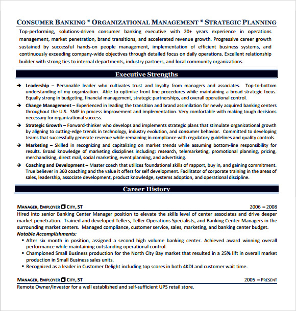 FREE 13+ Executive Resume Templates in PDF MS Word Pages