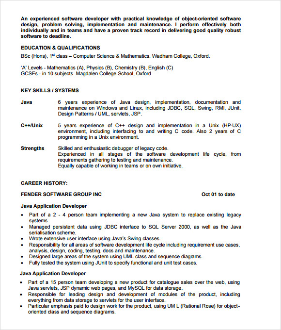 java developer cv template