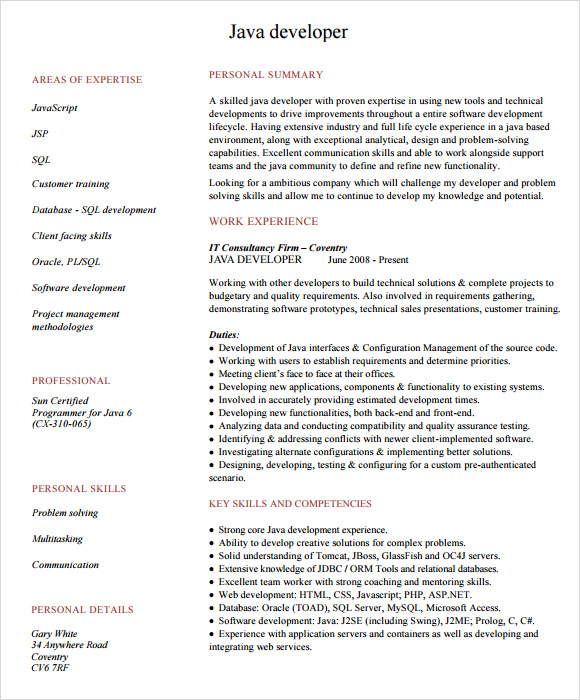 Java Developer Resume Template 6 Download Documents In Pdf Psd Word