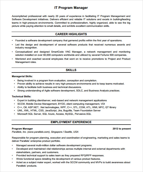 it project manager resume template free