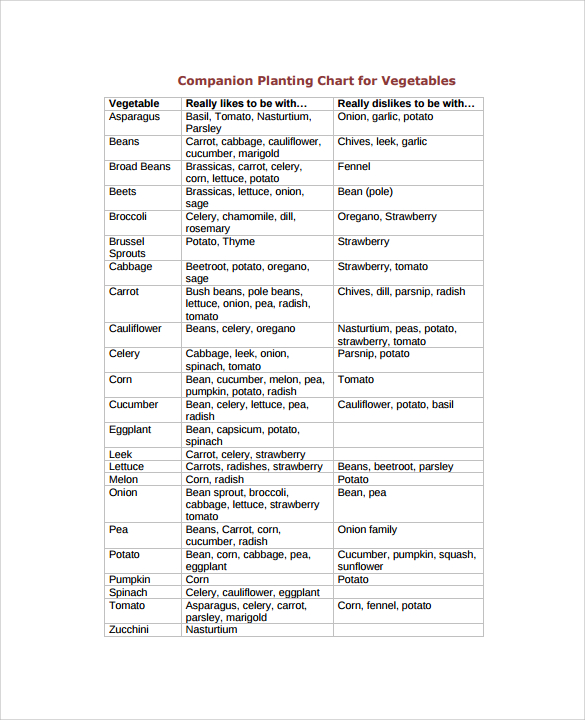 Free Printable Companion Planting Chart For Vegetables Get Your Hands 
