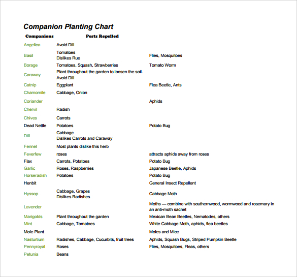 companion planting chart template
