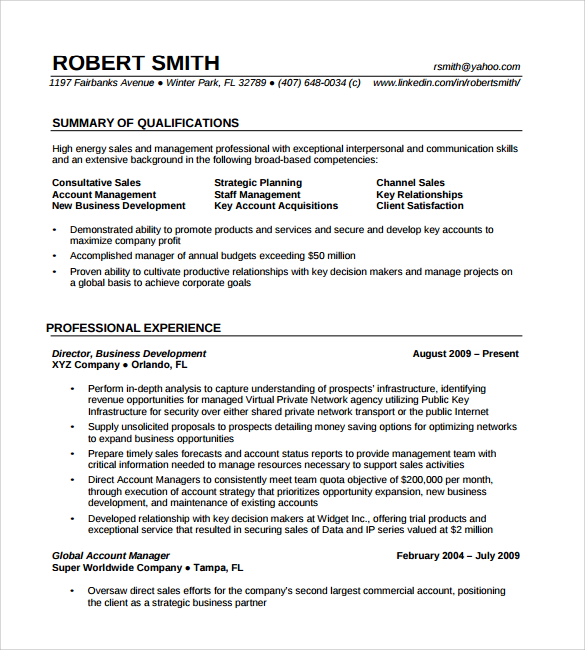 template for professional resume