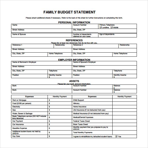 family budget statement