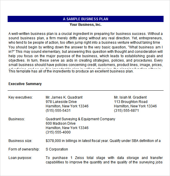 Form of ownership business plan