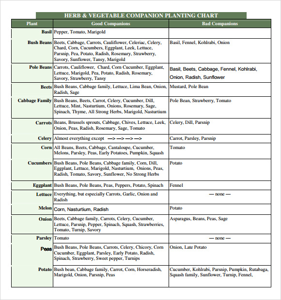 FREE 9+ Sample Companion Planting Chart Templates in PDF MS Word
