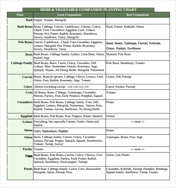 free-9-sample-companion-planting-chart-templates-in-pdf-ms-word