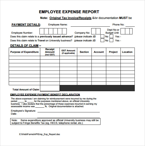 FREE 12+ Expense Report Templates in Google Docs | MS Word ...