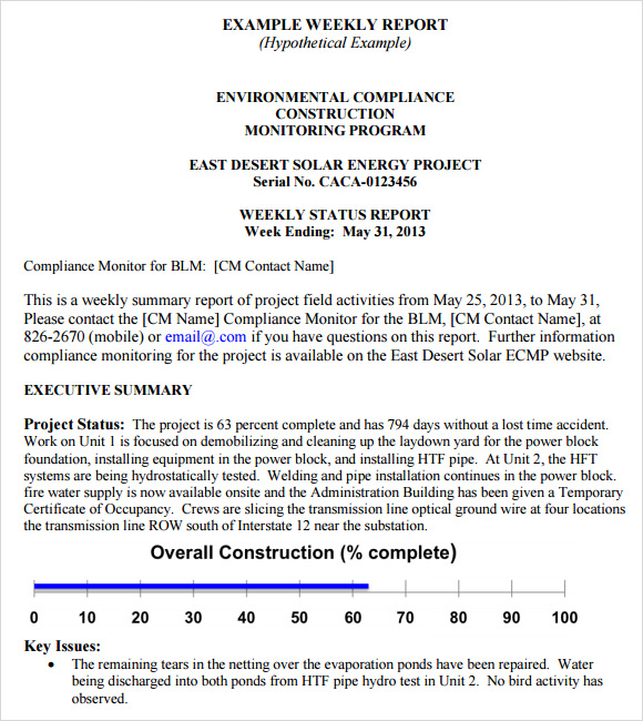 example weekly report template