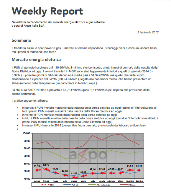 free weekly report template pdf