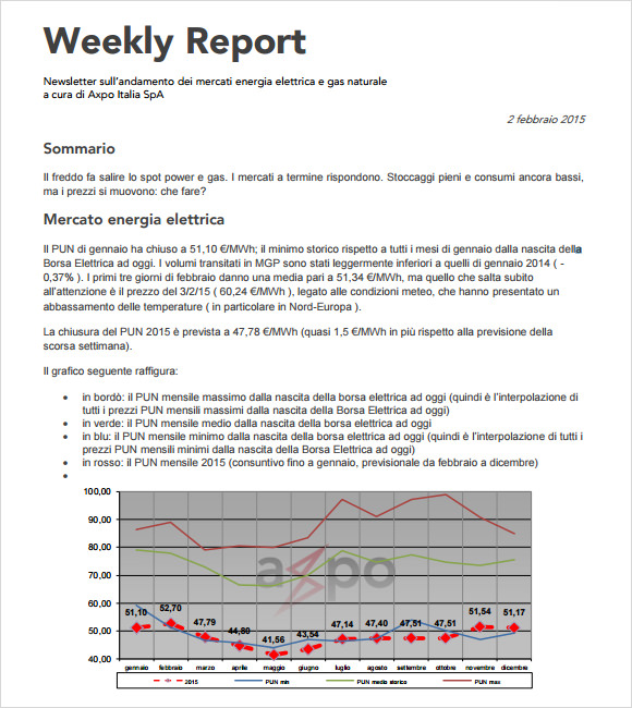 15+ Weekly Report Templates - Free Samples, Examples ...