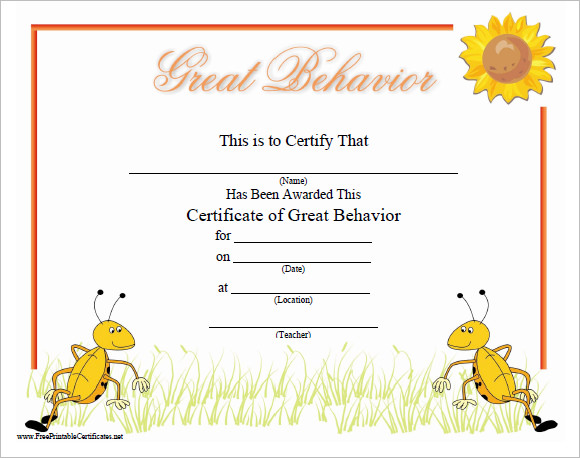 great behavior certificate