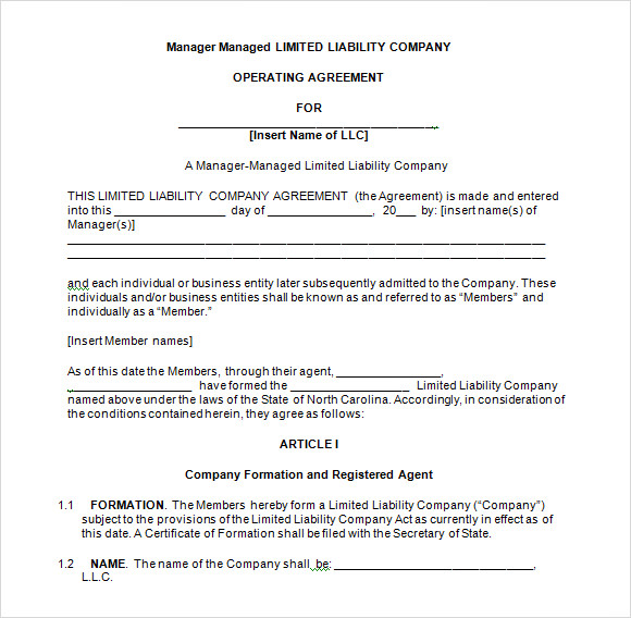 FREE 10  Sample LLC Operating Agreement Templates in Google Docs MS