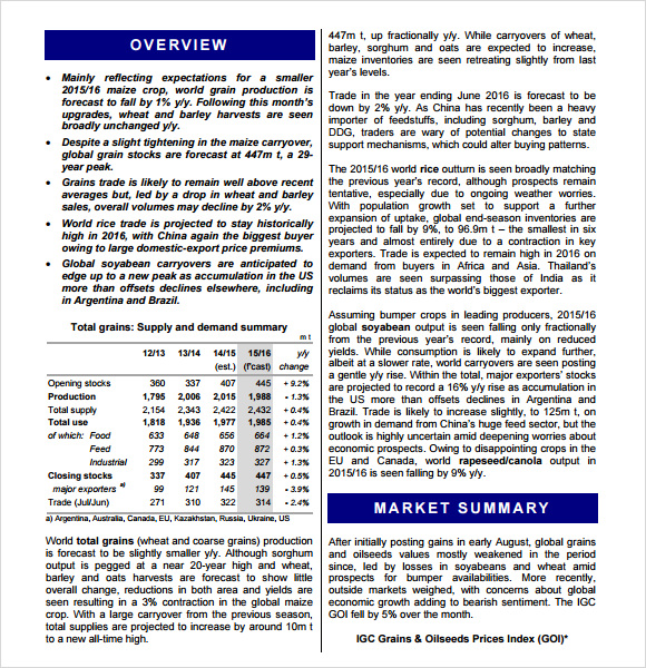 marketing report template pdf