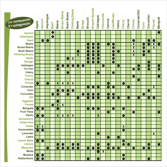 printable companion planting chart
