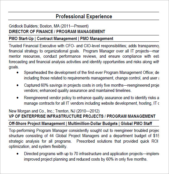 program manager pmo director resume pdf