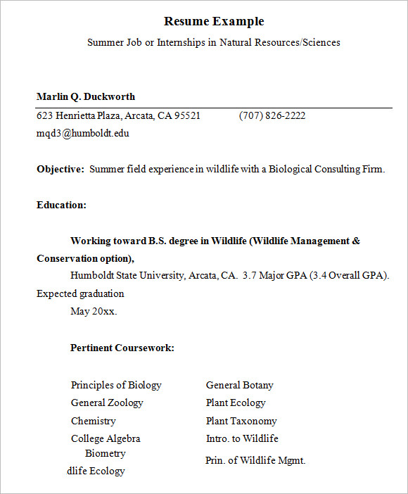 FREE 9+ Internship Resume Templates in PDF MS Word