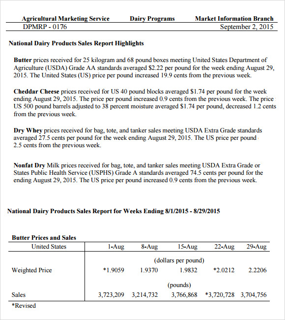 89 SALES REPORT WRITING SAMPLE SalesReport