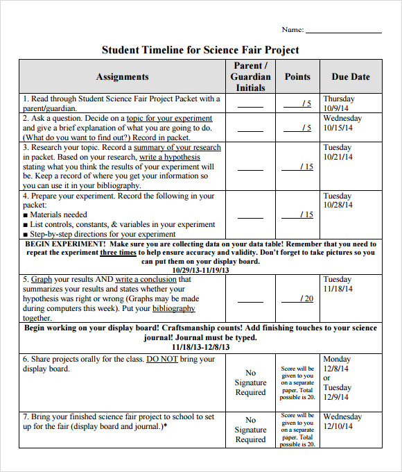 free-8-timeline-for-student-samples-in-pdf