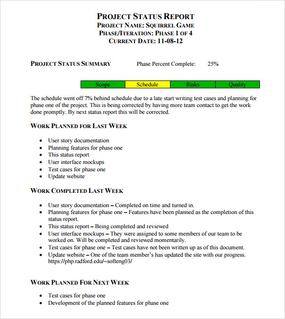 Development Status Report Template