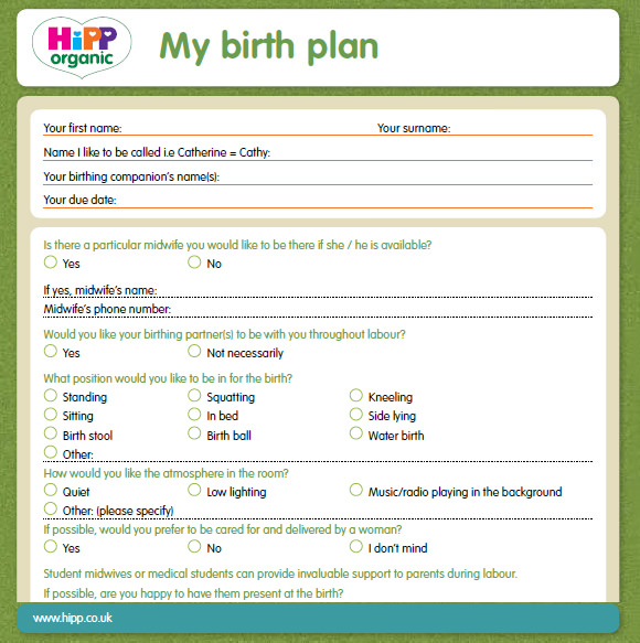 FREE 10+ Birth Plan Templates in Google Docs | MS Word ...