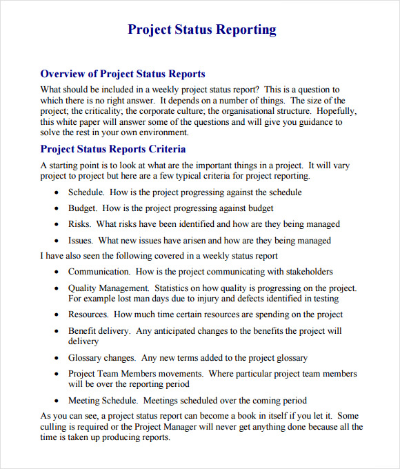 Report program. Project Report example. Report on the Project example. Project Team Report example. Report work Programming example.