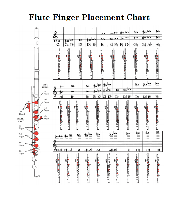 flute fingering placement chart