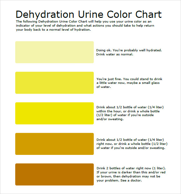 Urine Hydration Chart Pdf