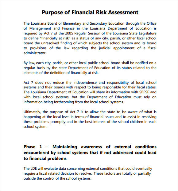 financial risk assessment template