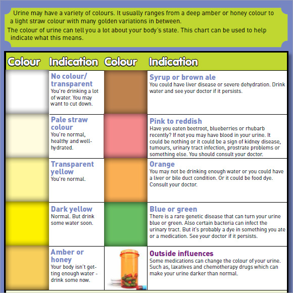 9+ Sample Urine Color Charts - PDF