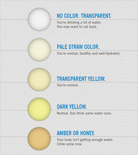 9+ Sample Urine Color Charts - PDF