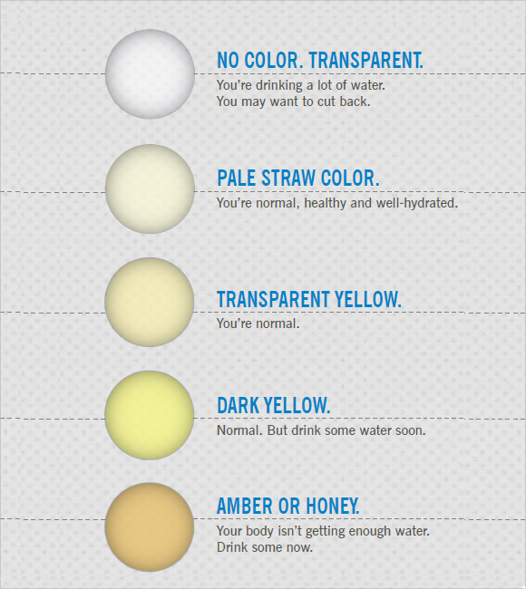 Printable Urine Hydration Chart