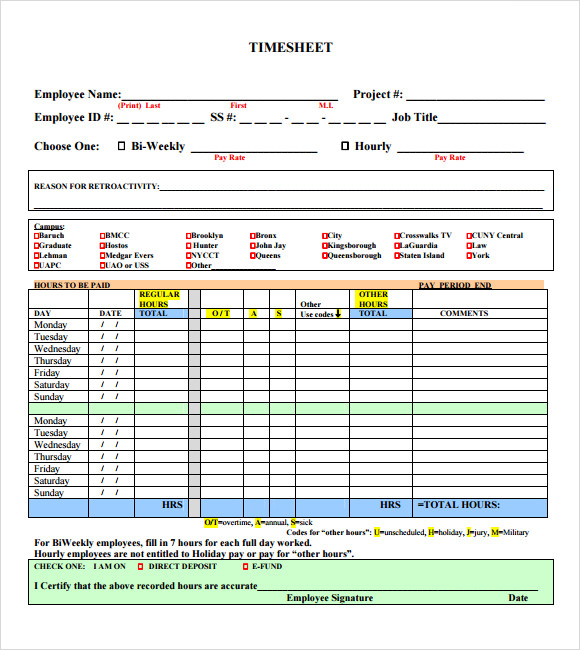 Daily Project Timesheet Template