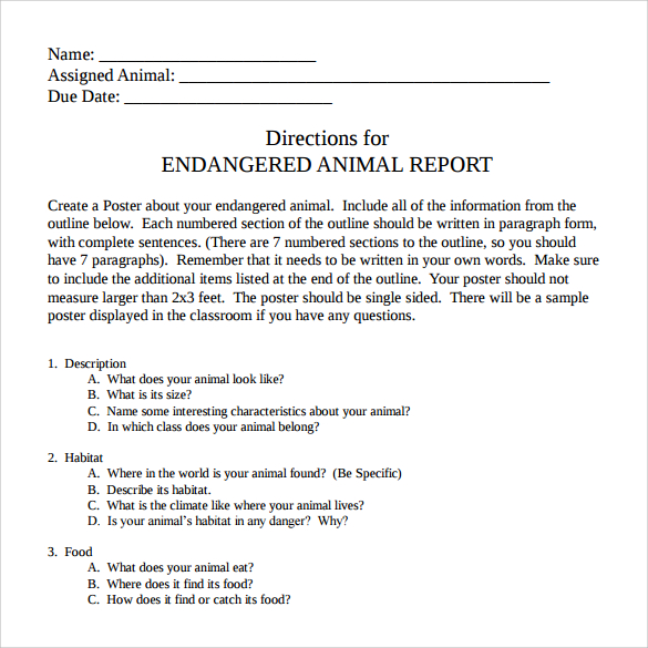 example of animal report template