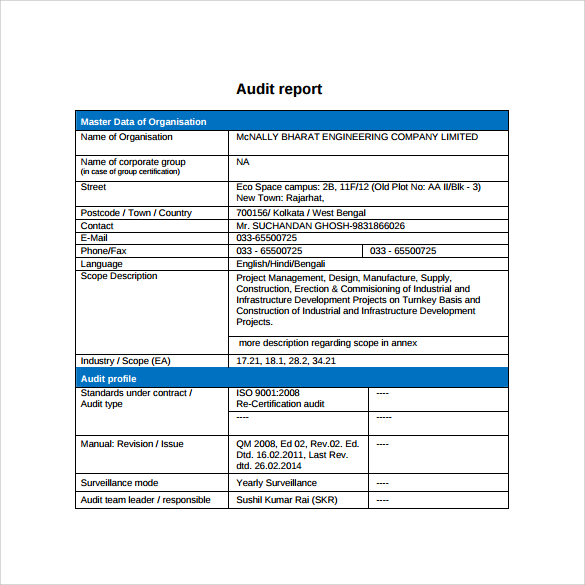 example of audit report