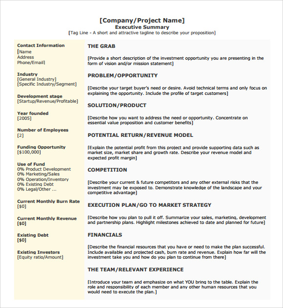 project executive summary template download