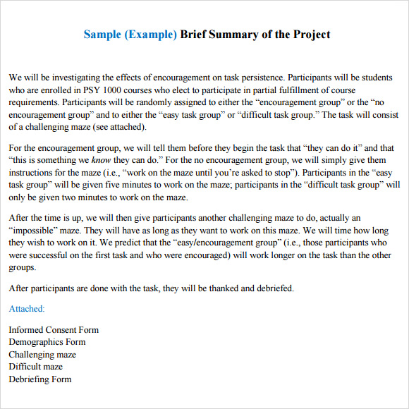 Summary Report Template
