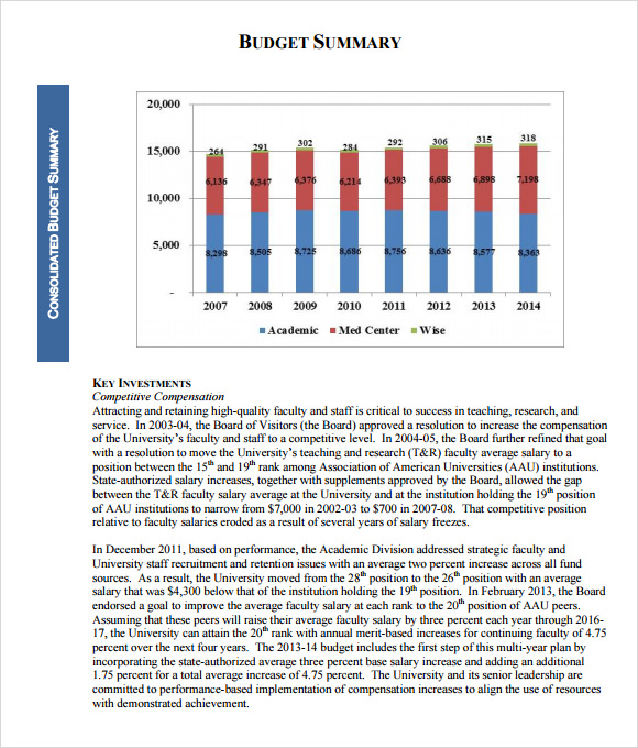 FREE 7 Sample Budget Summary Templates In PDF MS Word Google Docs Excel