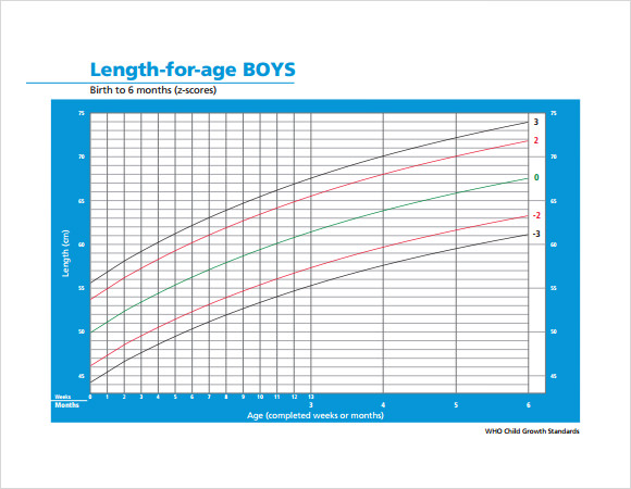 Boy Growth Chart Predictor