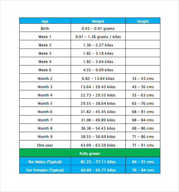 Puppy Weight Chart Template