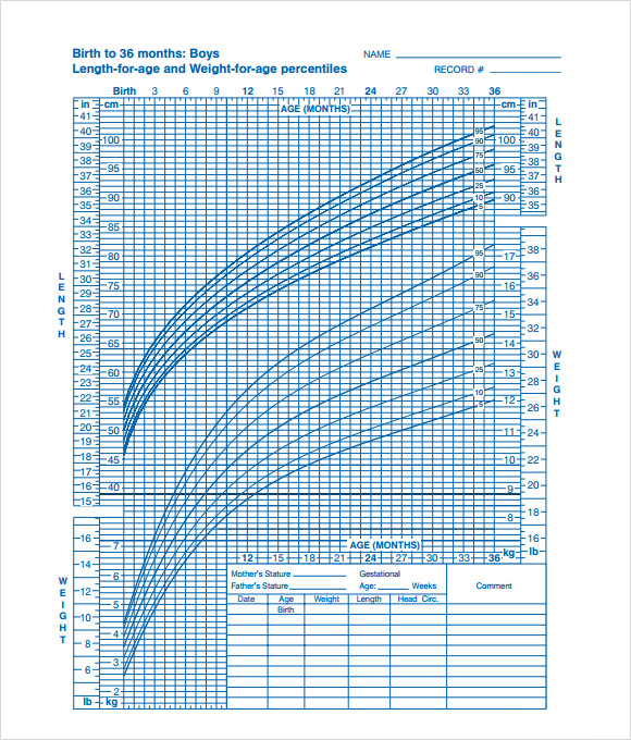 Growth Chart Template from images.sampletemplates.com