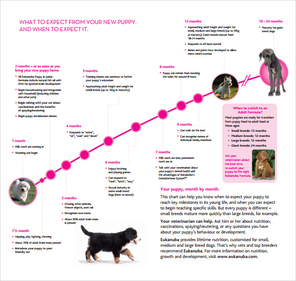 Medium Breed Puppy Growth Chart