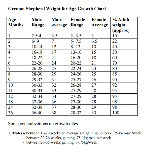 7 Sample Puppy Growth Chart Templates | Sample Templates