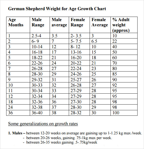 German Shepherd Puppy Size Chart