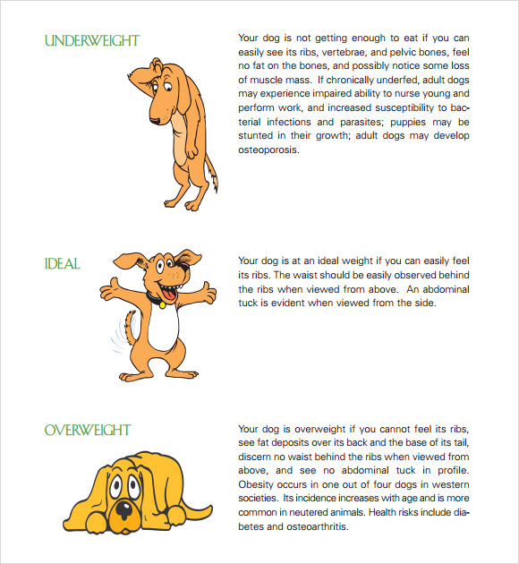 puppy growth chart template pdf