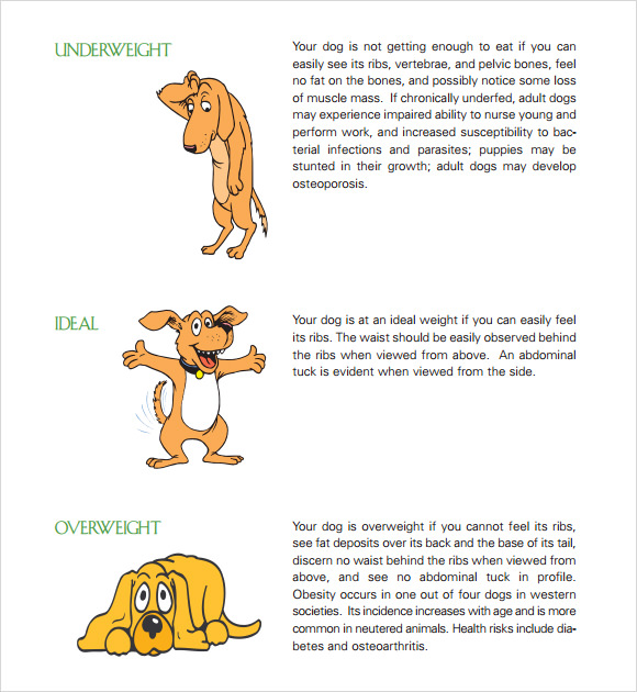 FREE 6+ Sample Puppy Growth Chart Templates in PDF