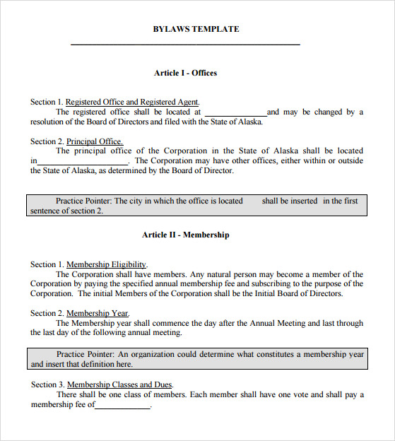 FREE 6  Sample Bylaws Templates in PDF