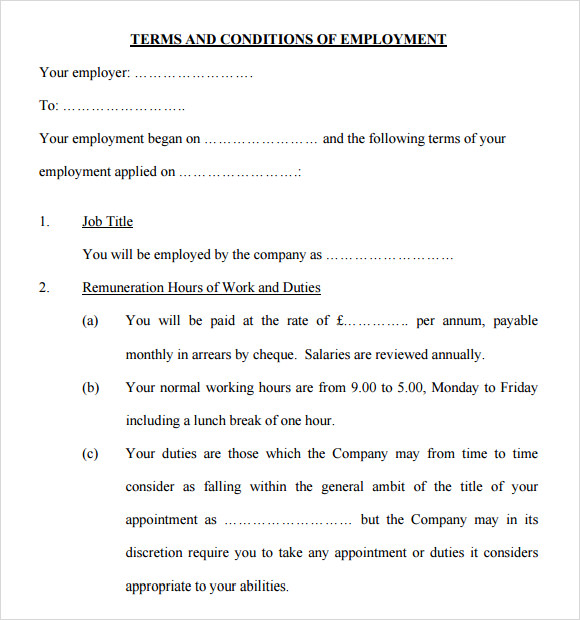 terms and conditions of employment template